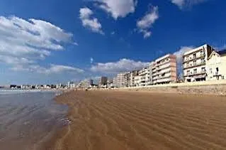 Hotel & Les Roches Noires 3*